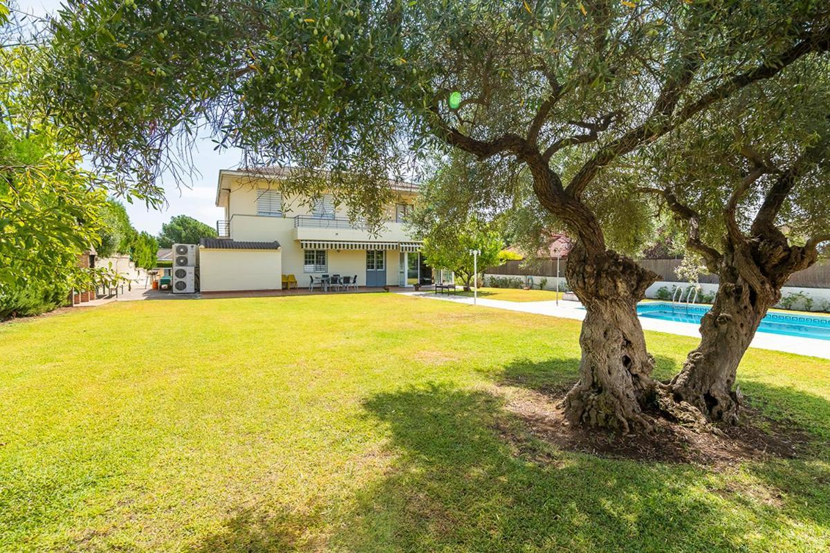 La Casa Del Olivo En Hébergement de vacances Cordoue
